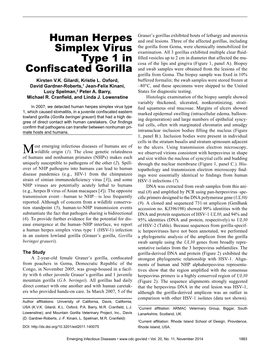 Human Herpes Simplex Virus Type 1 in Confiscated Gorilla