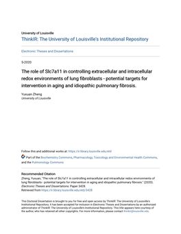 The Role of Slc7a11 in Controlling Extracellular And