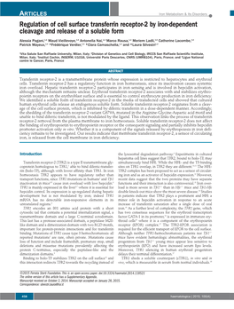 Regulation of Cell Surface Transferrin Receptor-2 by Iron-Dependent Cleavage and Release of a Soluble Form