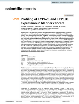 Profiling of CYP4Z1 and CYP1B1 Expression in Bladder Cancers