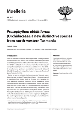 Prasophyllum Abblittiorum (Orchidaceae), a New Distinctive Species from North-Western Tasmania