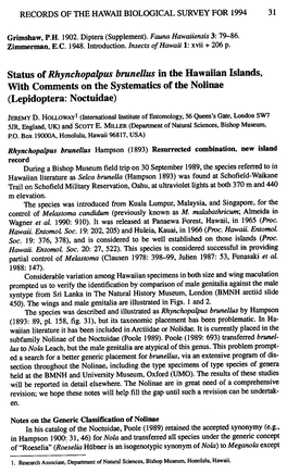 Status of Rhynchopalpus Hrunellus in the Hawaiian Islands, with Comments on the Systematics of the Nolinae (Lepidoptera: Noctuidae)