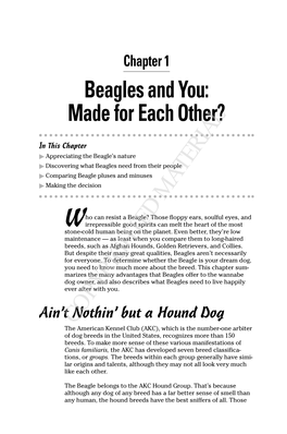 Beagles and You: Made for Each Other?