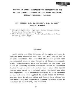 Eg9601858 Effect of Gamma Radiation on Reproduction and Mating