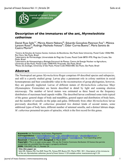 Description of the Immatures of the Ant, Myrmelachista