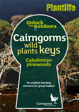 Cairngorms Wild Plants Keys Caledonian Pinewoods