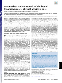 Orexin-Driven GAD65 Network of the Lateral Hypothalamus Sets Physical Activity in Mice