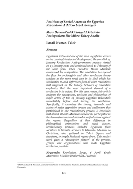 Positions of Social Actors in the Egyptian Revolution: a Micro Level Analysis