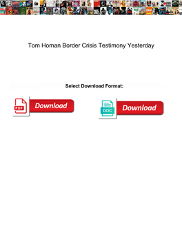 Tom Homan Border Crisis Testimony Yesterday