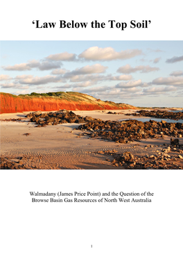Walmadany (James Price Point) and the Question of the Browse Basin Gas Resources of North West Australia