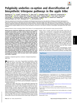 Polyploidy Underlies Co-Option and Diversification of Biosynthetic Triterpene Pathways in the Apple Tribe