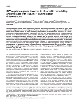 SLY Regulates Genes Involved in Chromatin Remodeling and Interacts with TBL1XR1 During Sperm Differentiation