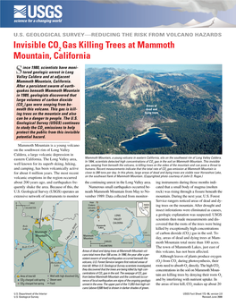 Invisible CO Gas Killing Trees at Mammoth Mountain, California