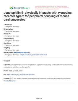 Junctophilin-2 Physically Interacts with Ryanodine Receptor Type 2 for Peripheral Coupling of Mouse Cardiomyocytes