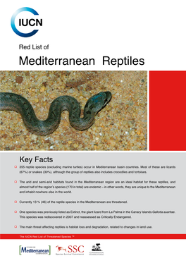 Red List of Mediterranean Reptiles © Lars Bergendorf