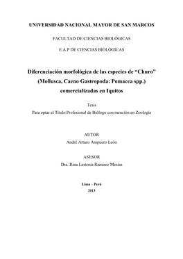 Diferenciación Morfológica De Las Especies De “Churo” (Mollusca, Caeno Gastropoda: Pomacea Spp.) Comercializadas En Iquitos