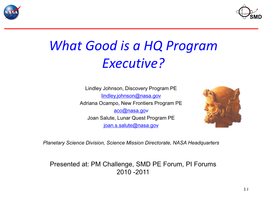 What Good Is a HQ Program Executive?