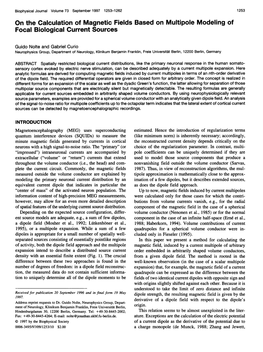 On the Calculation of Magnetic Fields Based on Multipole Modeling of Focal Biological Current Sources