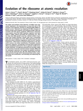 Evolution of the Ribosome at Atomic Resolution