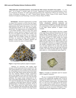 Preliminary Paleomagnetic Analysis of the Eagle Station Pallasite