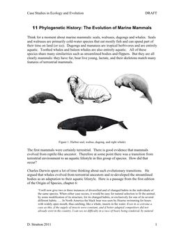 11 Phylogenetic History: the Evolution of Marine Mammals