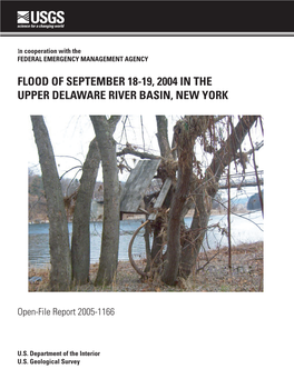 Flood of September 18-19, 2004 in the Upper Delaware River Basin, New York