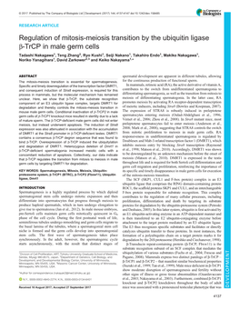 Regulation of Mitosis-Meiosis Transition by the Ubiquitin Ligase Β