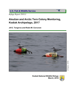 Aleutian and Arctic Tern Colony Monitoring, Kodiak Archipelago, 2017