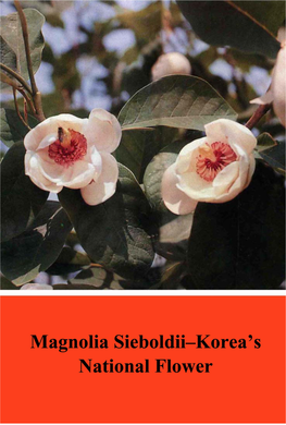 Magnoliasieboldii-Korea'snationalflower-1992.Pdf