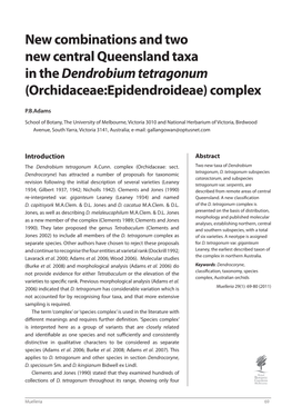 New Combinations and Two New Central Queensland Taxa in the Dendrobium Tetragonum (Orchidaceae:Epidendroideae) Complex