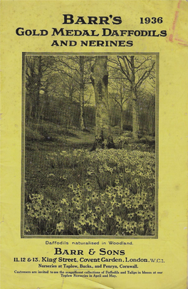 Barr, Gold Medal Daffodils, 1936