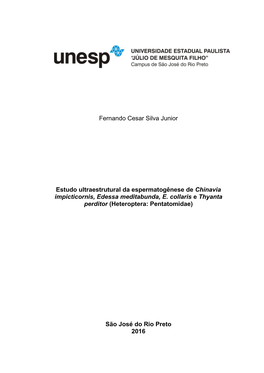 Fernando Cesar Silva Junior Estudo Ultraestrutural Da Espermatogênese De Chinavia Impicticornis, Edessa Meditabunda, E. Collari