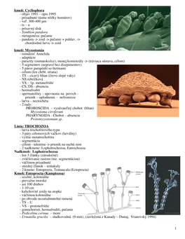 Kmeň: Cycliophora - Objav 1991 – Opis 1995 - Prisadnuté (Ústne Nôžky Homárov) - Veľ
