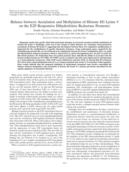 Balance Between Acetylation and Methylation of Histone H3 Lysine 9