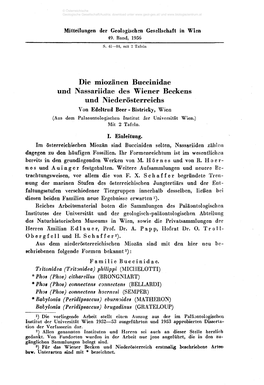 Die Miozänen Buccinidae Und Nassariidae Des Wiener Beckens