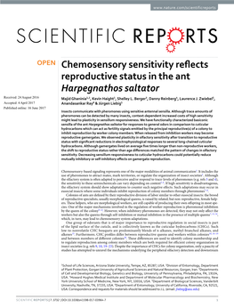 Chemosensory Sensitivity Reflects Reproductive Status in the Ant Harpegnathos Saltator Received: 24 August 2016 Majid Ghaninia1,2, Kevin Haight1, Shelley L
