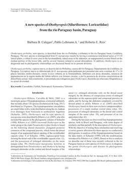 A New Species of Otothyropsis (Siluriformes: Loricariidae) from the Rio Paraguay Basin, Paraguay