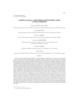 JAGUÉITE, Cu2pd3se4, a NEW MINERAL SPECIES from EL CHIRE, LA RIOJA, ARGENTINA