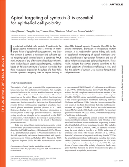 Apical Targeting of Syntaxin 3 Is Essential for Epithelial Cell Polarity