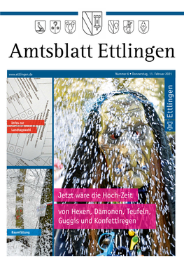 Amtsblatt Ettlingen Nummer 6 • Donnerstag, 11