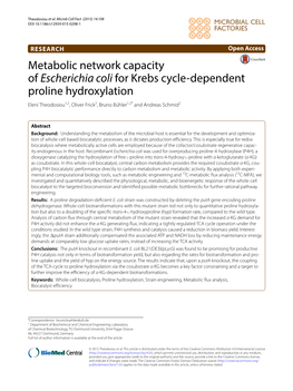 Metabolic Network Capacity of Escherichia Coli for Krebs Cycle