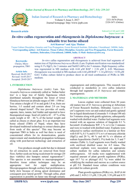 In-Vitro Callus Regeneration and Rhizogenesis in Diploknema