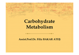 Glycogen Metabolism Glycogen Metabolism Ò a Constant Source of Blood Glucose Is an Absolute Requirement for Human Life