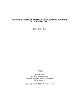 DOWNSTREAM FISHERS and the IMPACTS GENERATED by the BELO MONTE HYDROELECTRIC DAM. by Laura Castro-Diaz a THESIS Submitted to Mi