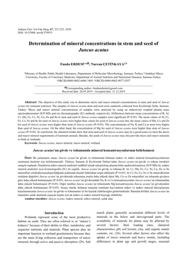 Determination of Mineral Concentrations in Stem and Seed of Juncus Acutus