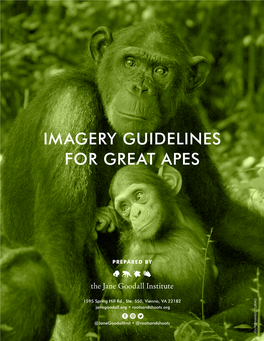 Imagery Guidelines for Great Apes