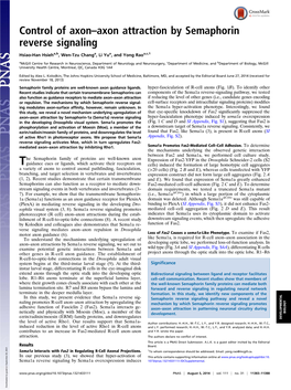 Control of Axon–Axon Attraction by Semaphorin Reverse Signaling