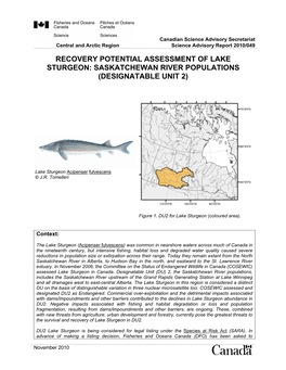 Saskatchewan River Populations (Designatable Unit 2)