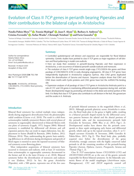 Evolution of Class II TCP Genes in Perianth Bearing Piperales and Their Contribution to the Bilateral Calyx in Aristolochia