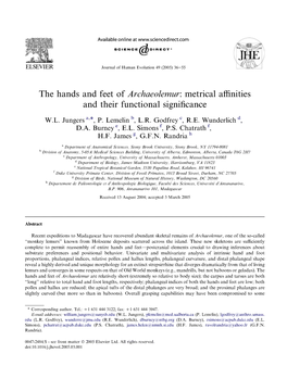 The Hands and Feet of Archaeolemur. Metrical Affinities and Their Functional Significance W.L